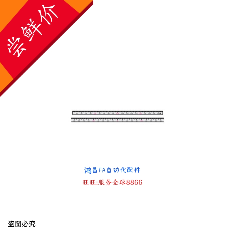 BLR41/42-L100/200/300/600 BLR45/46-L100/200/300/600 刻度尺