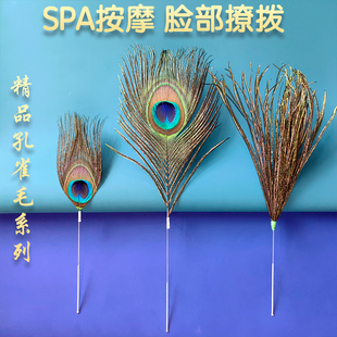 银针孔雀王毛采耳工具孔雀羽毛扫脸按摩SPA打耳朵毛扫耳朵毛毛