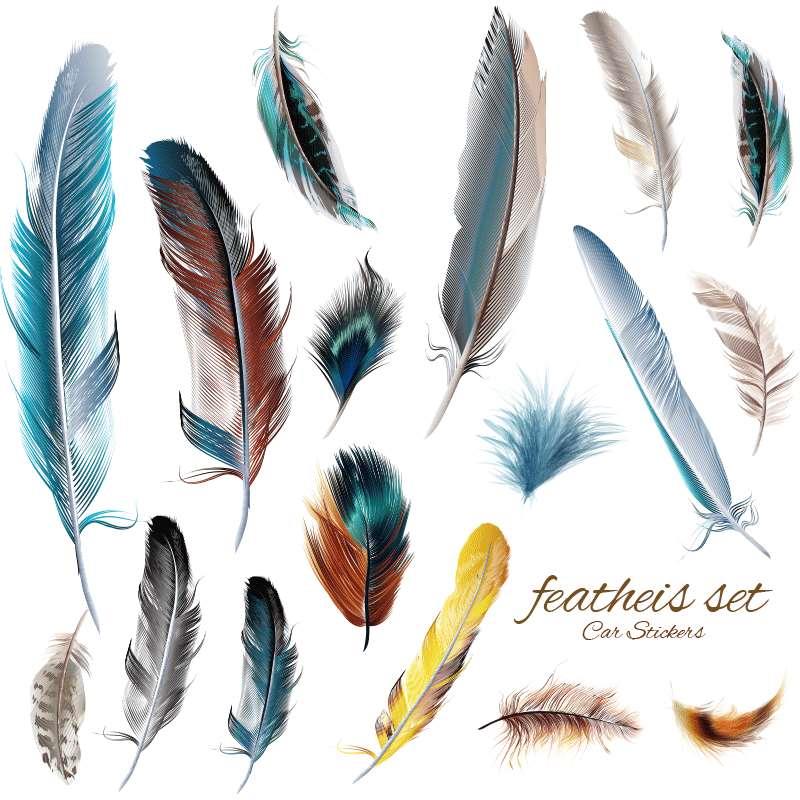 汽车贴纸装饰划痕遮挡创意个性车贴3d立体贴羽毛改装车门身尾反光