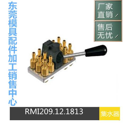供应STAUBLI集水器RMI209.20.1810/CN/JV模具集水器上盖RMI209系