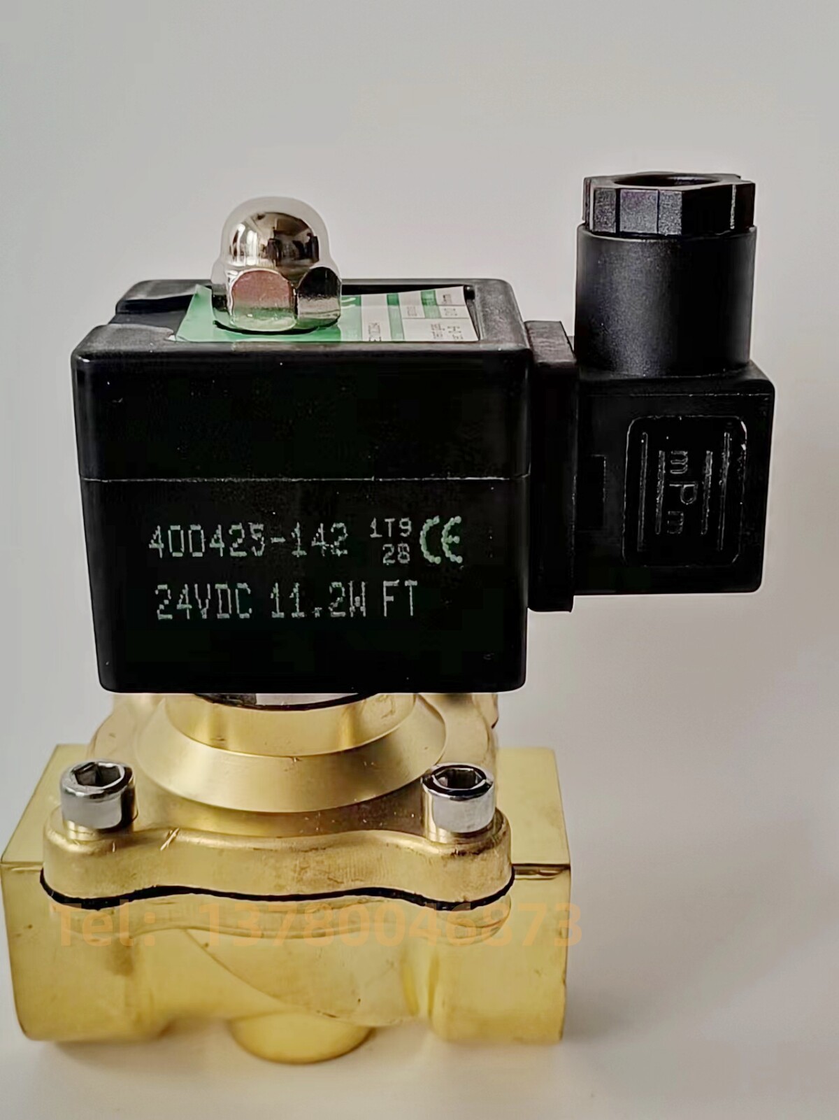 1/2黄铜水阀防爆电磁阀 EF8210G094 EF8210G002 8210C094