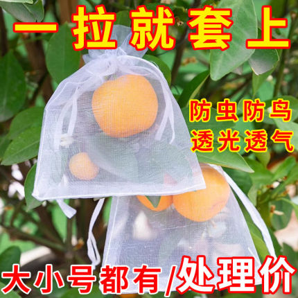 水果葡萄无花果套袋防虫草莓防鸟网袋透气循环使用双抽绳尼龙套袋