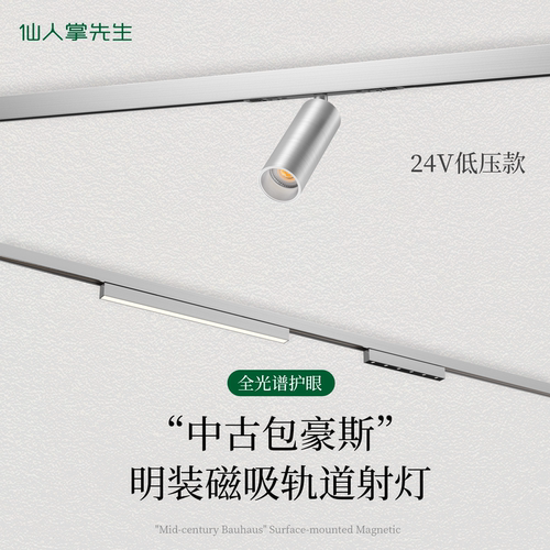 仙人掌先生包豪斯明装磁吸轨道灯