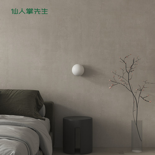 仙人掌玻璃简约圆球儿童房壁灯