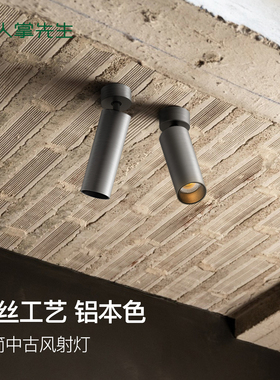 仙人掌先生明装可调角极简中古风拉丝工艺铝本色护眼嵌装LED射灯