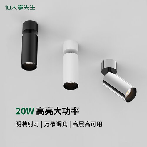 大功率20W明装电镀银中古风射灯