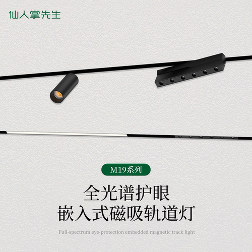 仙人掌先生加厚预埋磁吸轨道