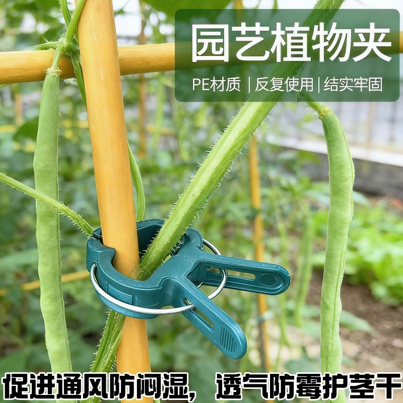 藤蔓卡扣葡萄爬藤蔬菜矫正牵引扣花盆大棚菜园绿植枝干扶蔓固定夹,鲜花速递/花卉仿真/绿植园艺,其它园艺用品,淘宝优惠券,粉丝福利购,淘宝优惠卷
