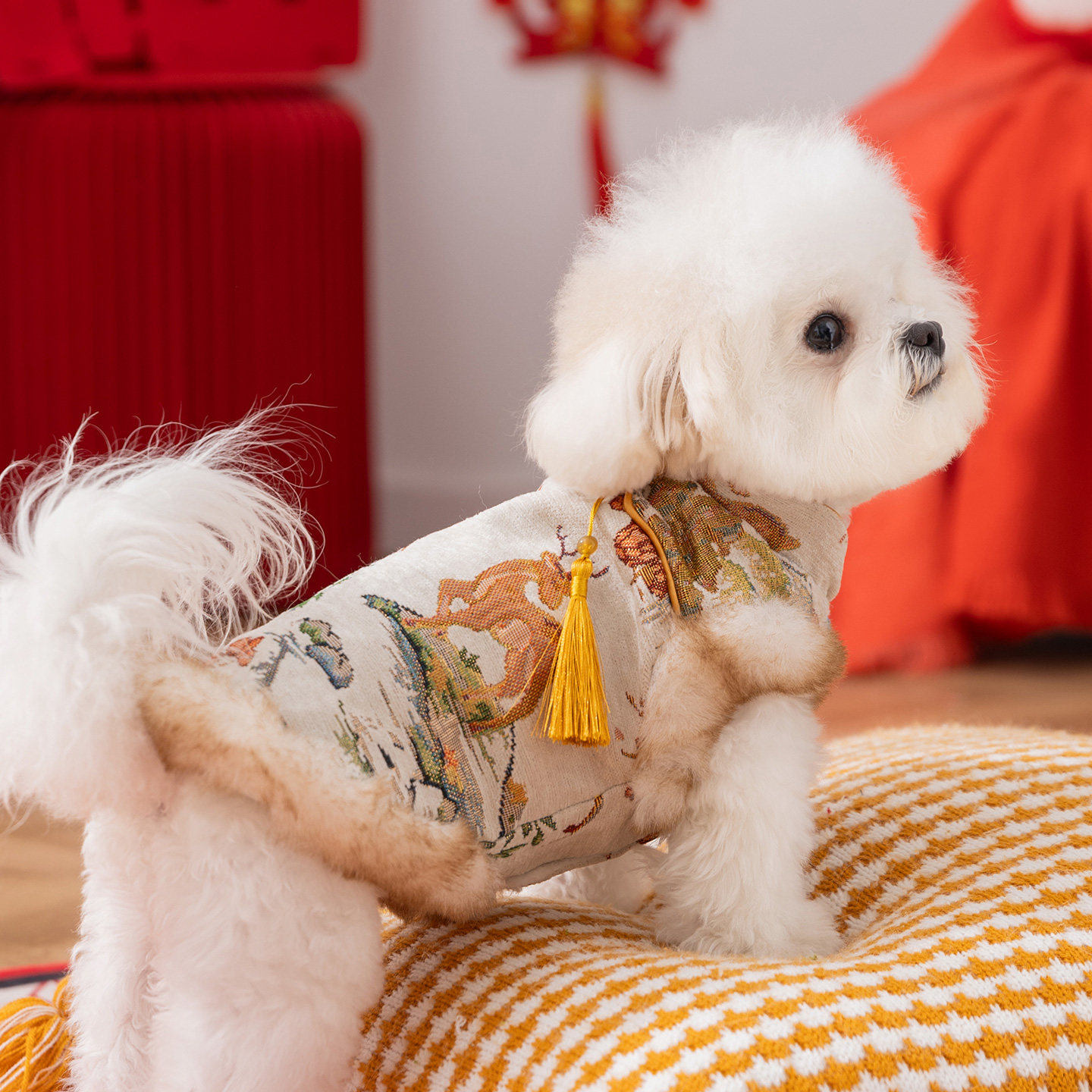 狗狗衣服新年福气马甲加厚保暖比熊泰迪小型犬秋冬天喜庆宠物唐装,宠物/宠物食品及用品,狗宠物服装/雨衣,淘宝优惠券,粉丝福利购,淘宝优惠卷