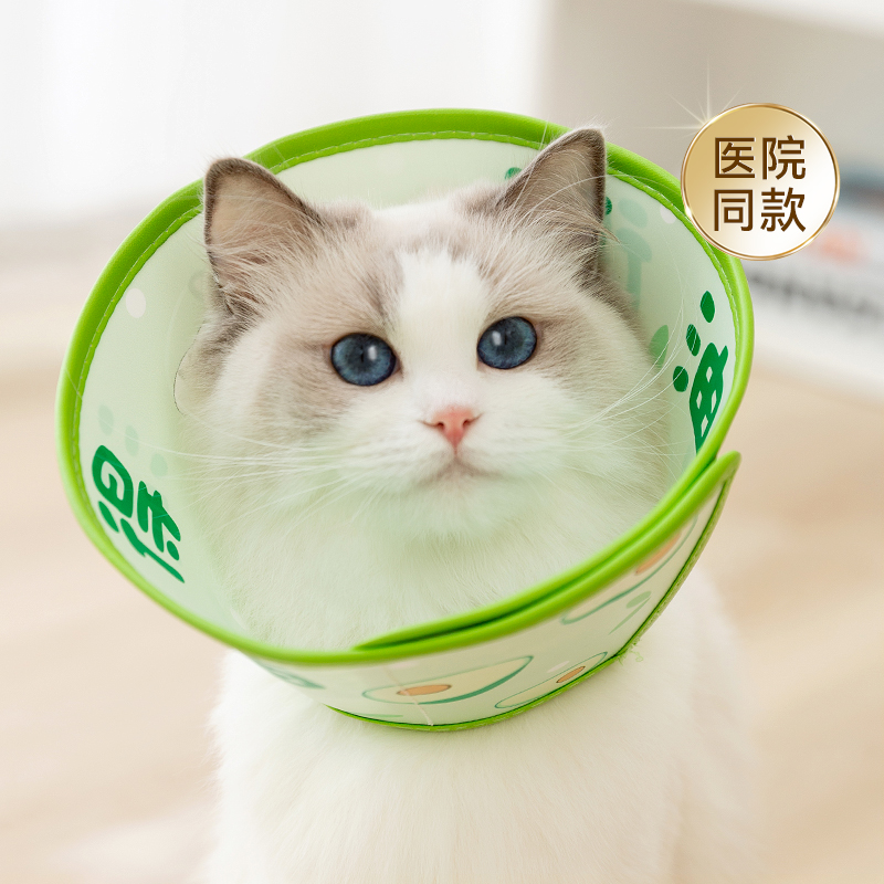 吉祥语伊丽莎白圈防舔防咬