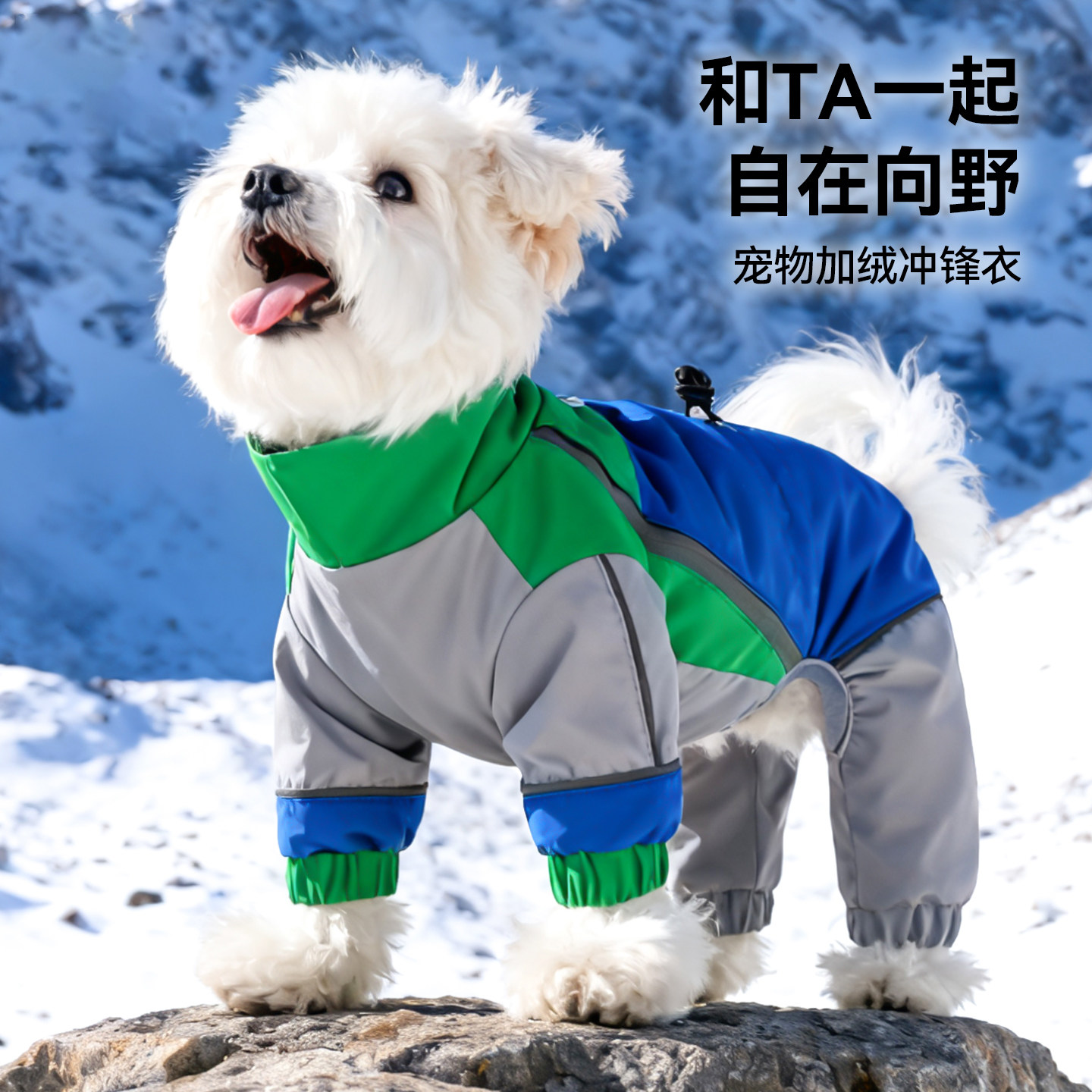 秋冬季狗狗泰迪高定撞色加绒四脚户外冲锋衣防风防水保暖宠物衣服,宠物/宠物食品及用品,狗宠物服装/雨衣,淘宝优惠券,粉丝福利购,淘宝优惠卷