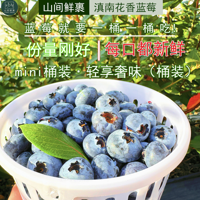 蓝莓花香蓝莓单人mini桶