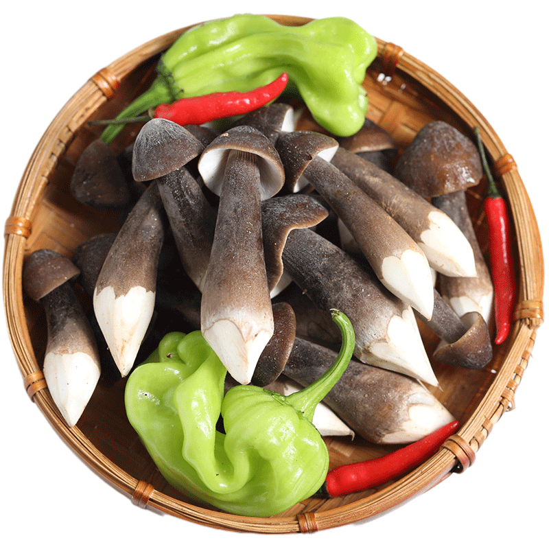 全一级果新鲜黑皮鸡枞菌菇空运