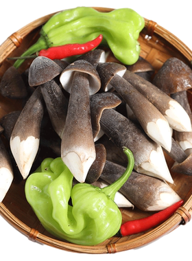 全一级果新鲜黑皮鸡枞菌菇空运