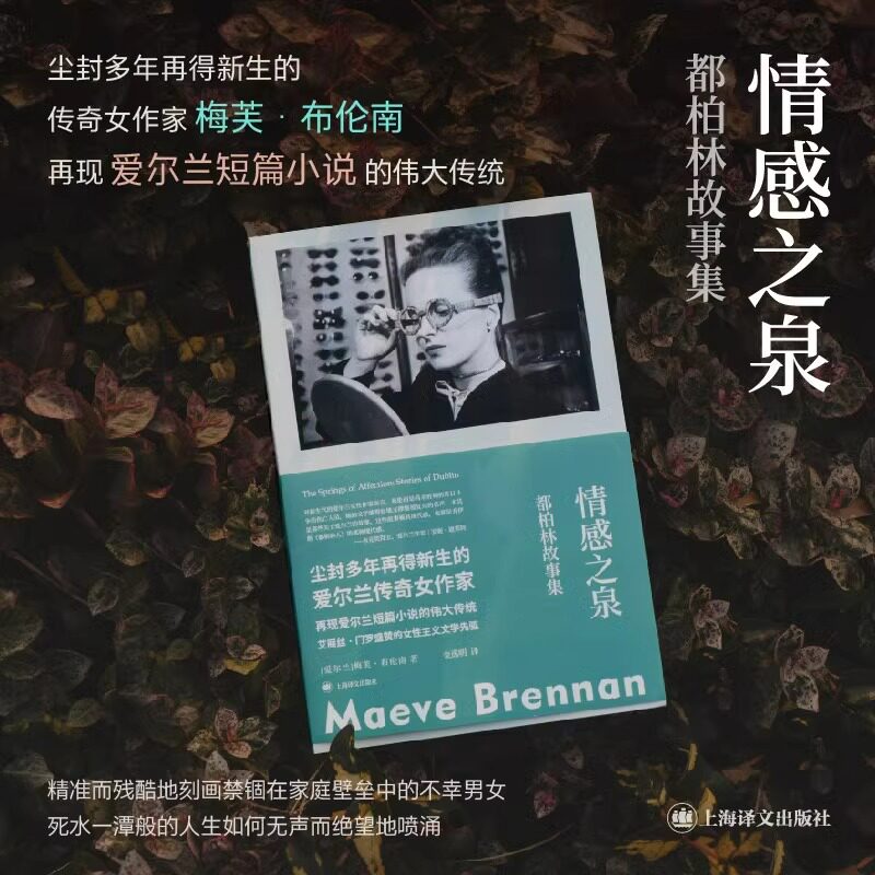 情感之泉 都柏林故事集群岛图书爱尔兰作者梅芙布伦南著 金逸明译