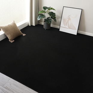 地毯高级感纯黑色极简风客厅办公室商用拍照地垫卧室全铺黑色地毯