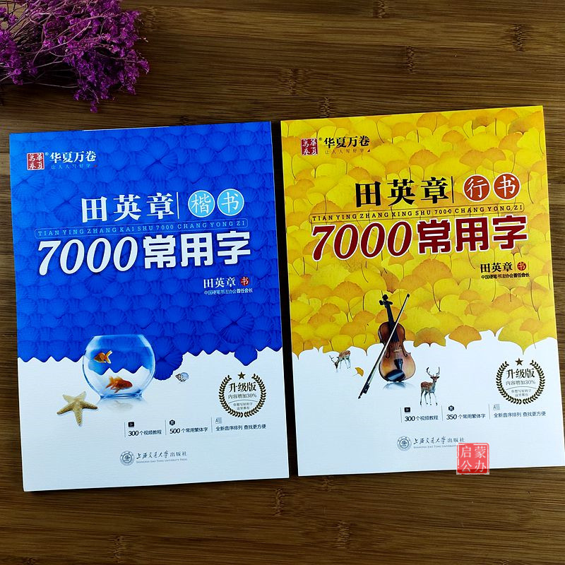 田英章书楷书字帖7000常用字正楷初学者成人钢笔字帖楷书入门行书字帖大学生硬笔字帖练字行楷字帖临摹字帖-封面