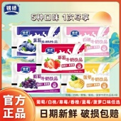 银桥草莓葡萄香橙白桃酸牛奶饮品早餐奶纯奶袋装 200ml 16牛奶整箱