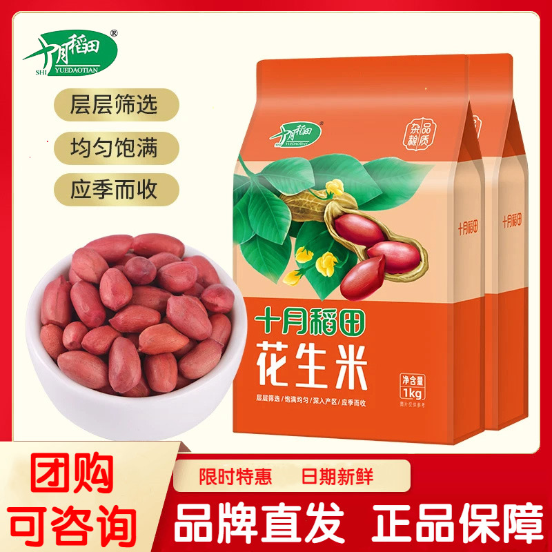十月稻田东北红皮花生米