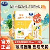 银桥酸甜菠萝牛奶饮品200ml 16袋装 西安特产风味牛奶含乳饮料饮品