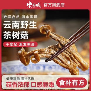 干茶树菇干货旗舰店农家云南野生茶树菇新鲜煲汤食材菌菇500g批发