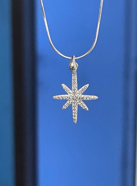 足银990项链女款小众高级感锁骨链送女友闺蜜生日礼物