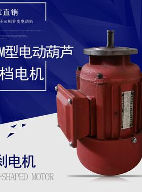 电动葫芦ZDM系列南京江陵总厂锥形三相异步制动电动机转子配件