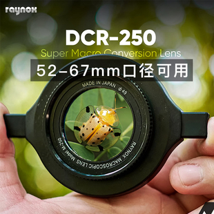 日本Raynox微距接环滤镜外接镜头昆虫花卉近摄镜放大镜DCR250百微