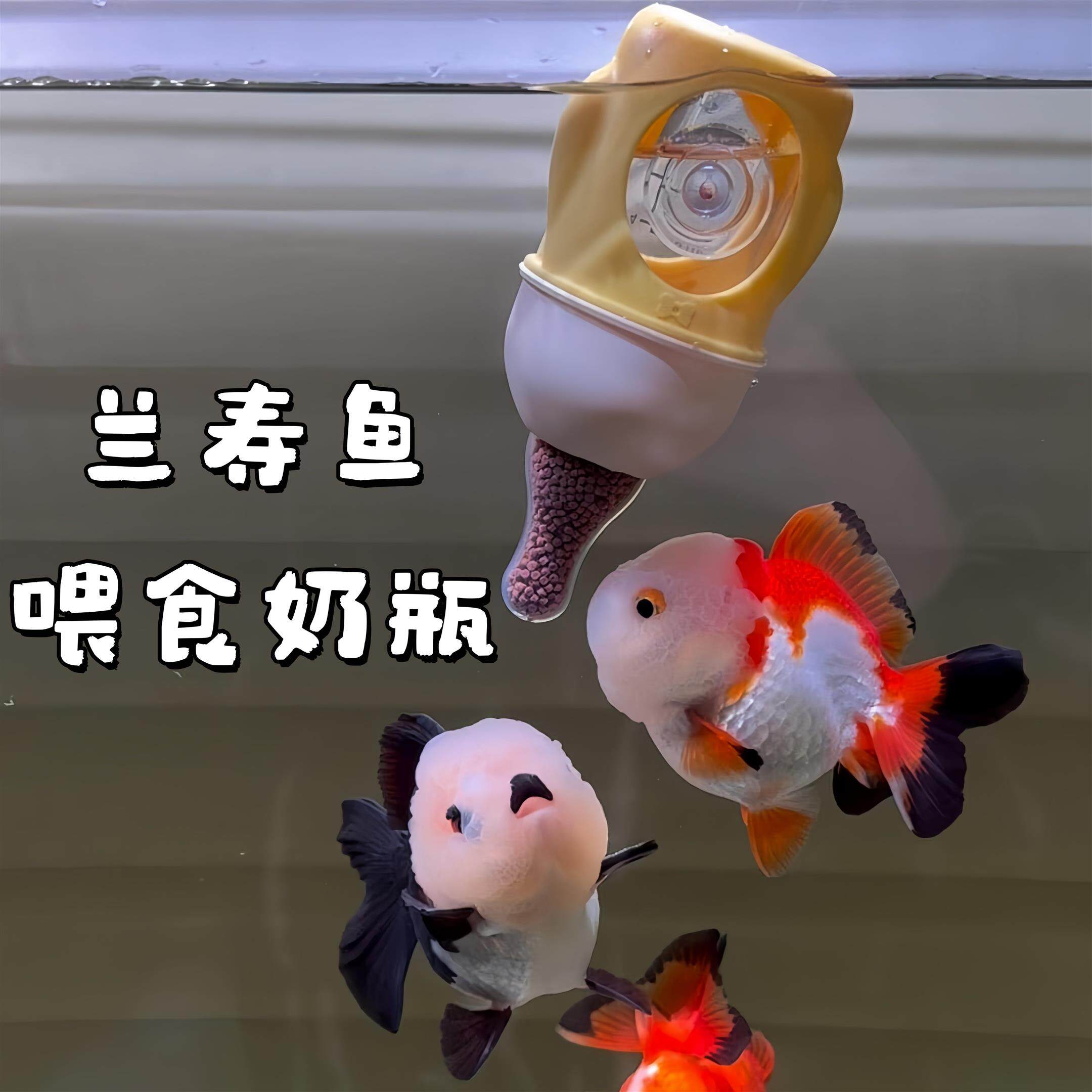 养鱼党福音!喂鱼奶瓶兰寿专用防飘散固定器宠物防呛观赏鱼喂食杯