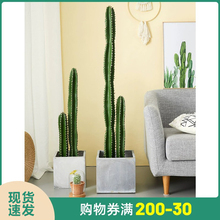 仿真仙人掌量天尺假植物室内绿植造景大型落地装饰盆栽网红摆件