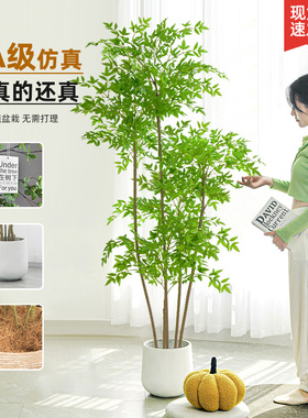 南天竹彷真绿色植物高级感客厅轻奢室内大型装饰树假植物落地摆件