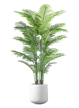 全新升级散尾葵仿真绿植摆件