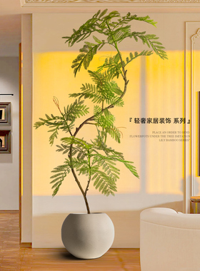 模拟绿色植物蓝花楹室内盆栽大型彷生植物假树可达豪华客厅装饰地