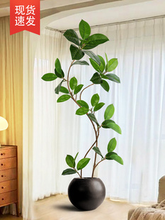 采购产品模拟绿色植物，优雅的可及的奢侈品，孟加拉国榕树客厅，