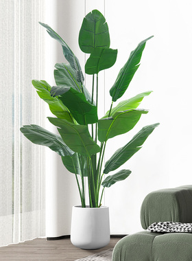 仿真植物天堂鸟仿真花