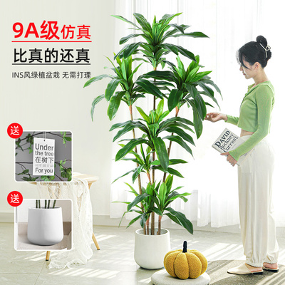 森泰专注仿真绿植二十年
