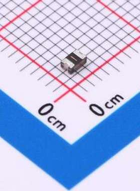 0805L300SL9ARG 自恢复保险丝 9V 3.00A 0805低电阻自恢复 0805