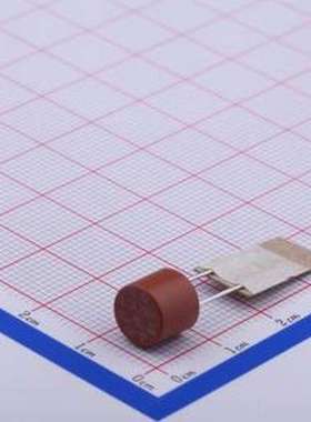 5RT-063H 一次性保险丝 插件式保险丝 插件