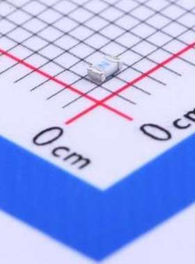 0441002.WR 一次性保险丝 贴片式陶瓷保险丝 0603