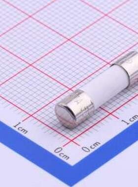 5HF-010H 一次性保险丝 陶瓷管保险丝 D5.2xL20mm