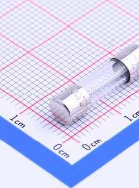 0213002.MXP 一次性保险丝 玻璃管保险丝 D5xL20mm