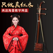 Handmade erhu mahogany erhu nhạc cụ người mới bắt đầu nhập cảnh để chơi trẻ em người lớn chuyên nghiệp Huqin bán hàng trực tiếp - Nhạc cụ dân tộc