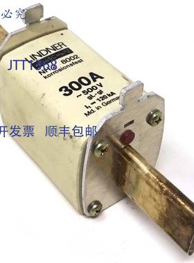 原装 供应管状保险丝 NH2-300 Linder 300A
