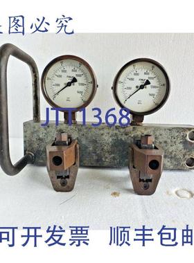 供应Bombas gemelas de inyector de aceite SKF 226400 300