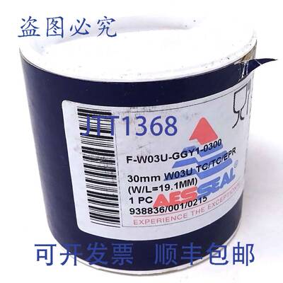 原装 供应机械 F-W03U-GGY1-0300 Aesseal 30mm TC/TC/EPR