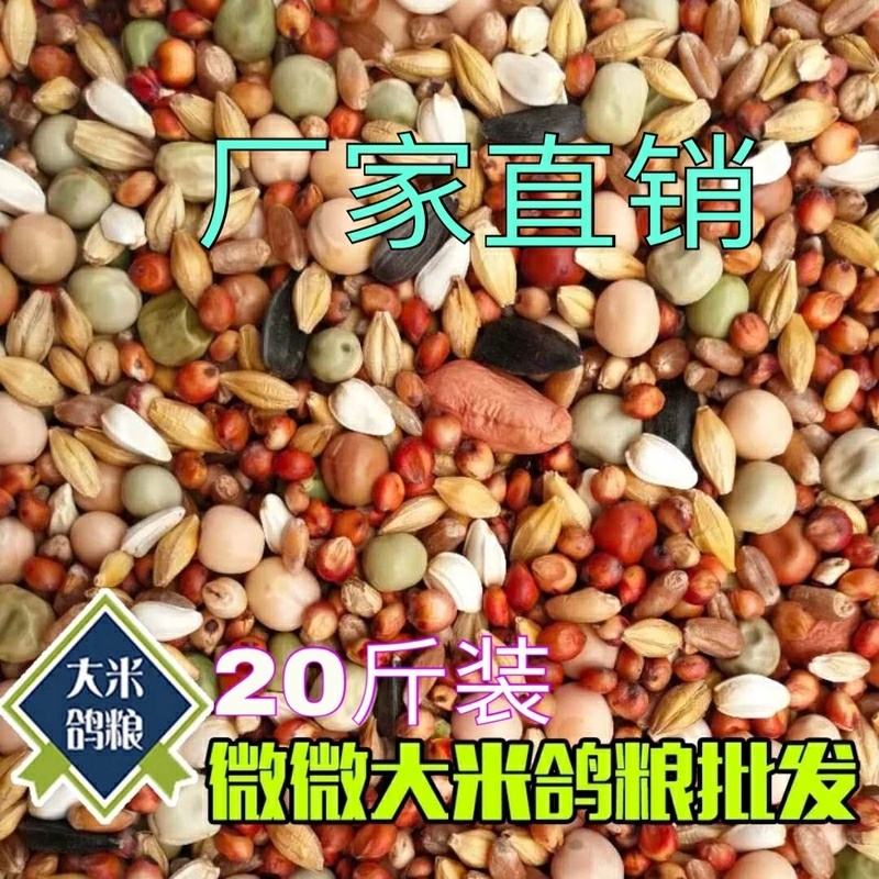 2019新20斤无玉米鸽子粮食营养饲料鸟食信鸽观赏-鸽饲料(拼凑旗舰店仅售63.18元)