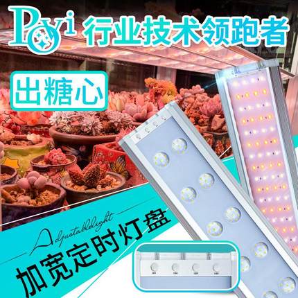 珀誉多肉补光灯 上色全光谱家用防徒花卉室内植物仿太阳led生长灯