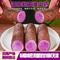 新鲜紫玉淮山药正宗长款紫山药农家种铁棍紫薯产地直发酒店食材