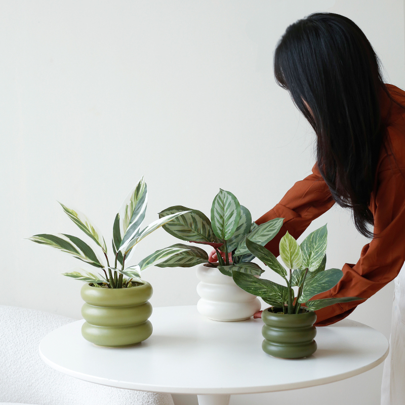 栀美家仿真绿植盆栽北欧