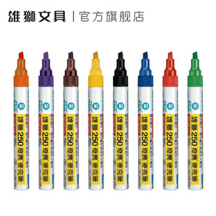 5.0mm扁头笔尖 油性墨水 奇异笔记号笔符合ROHS检测标准 雄狮250